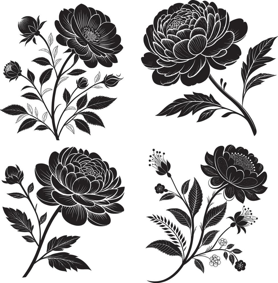 black and white flowers set vector