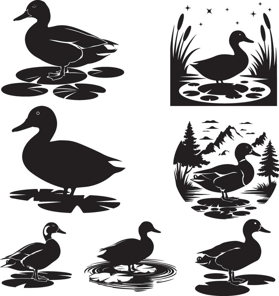 ducks in the water, silhouettes vector