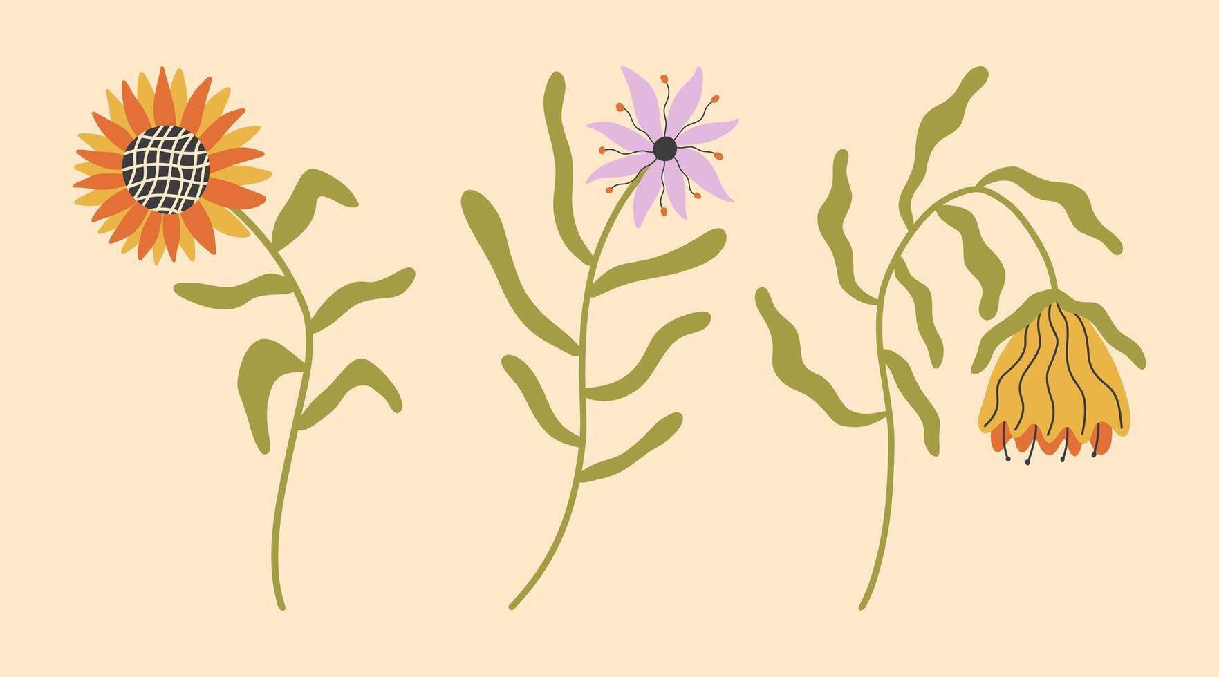 Groovy flowers set. Abstract spring field plants Chamomile, Coreopsis, Tidy Tips. Colored scandinavian illustrations. vector