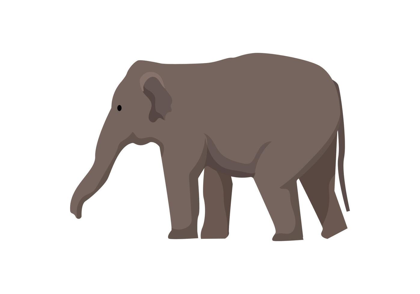 An elephant is standing on a white background vector
