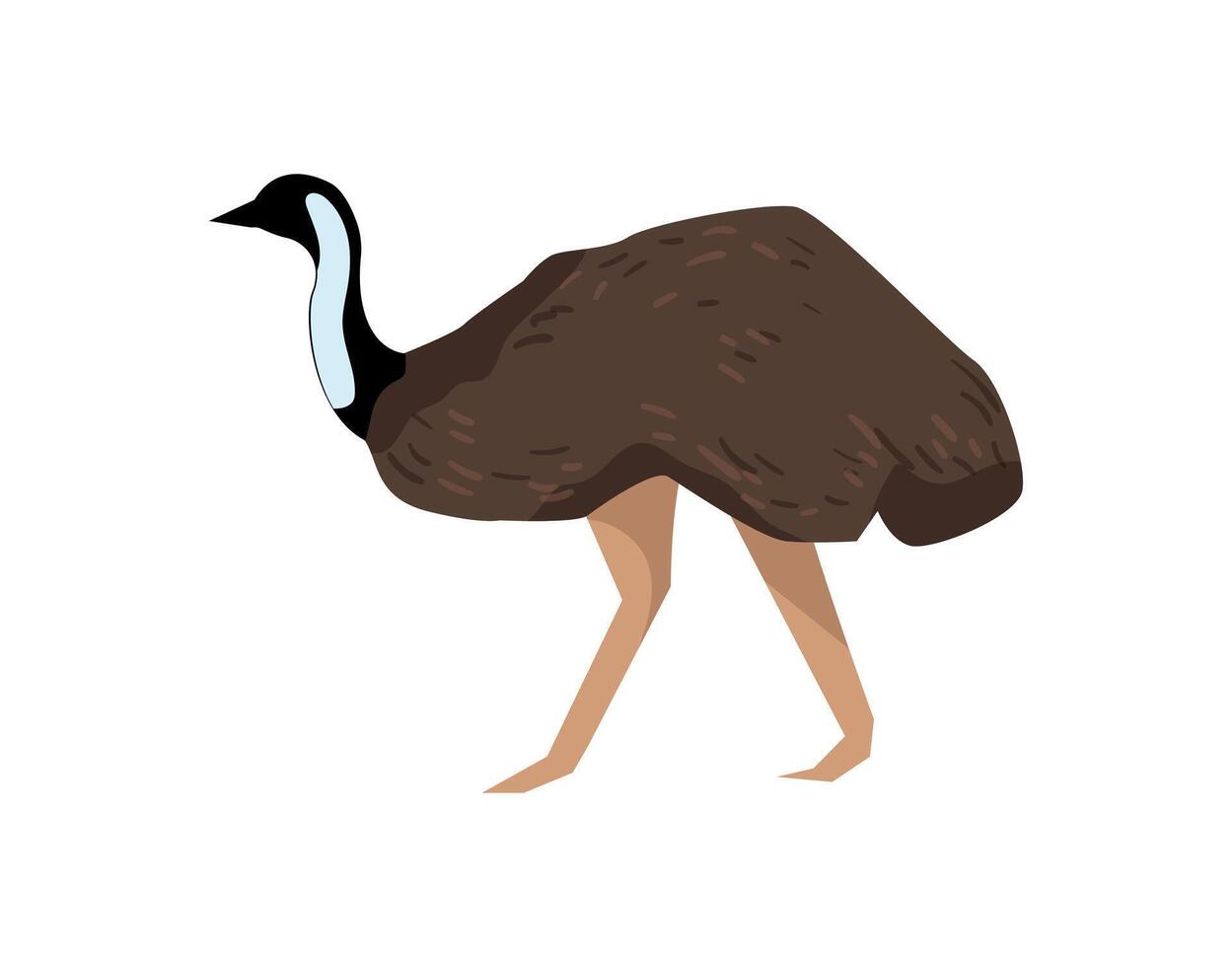 An emu is standing on its hind legs vector