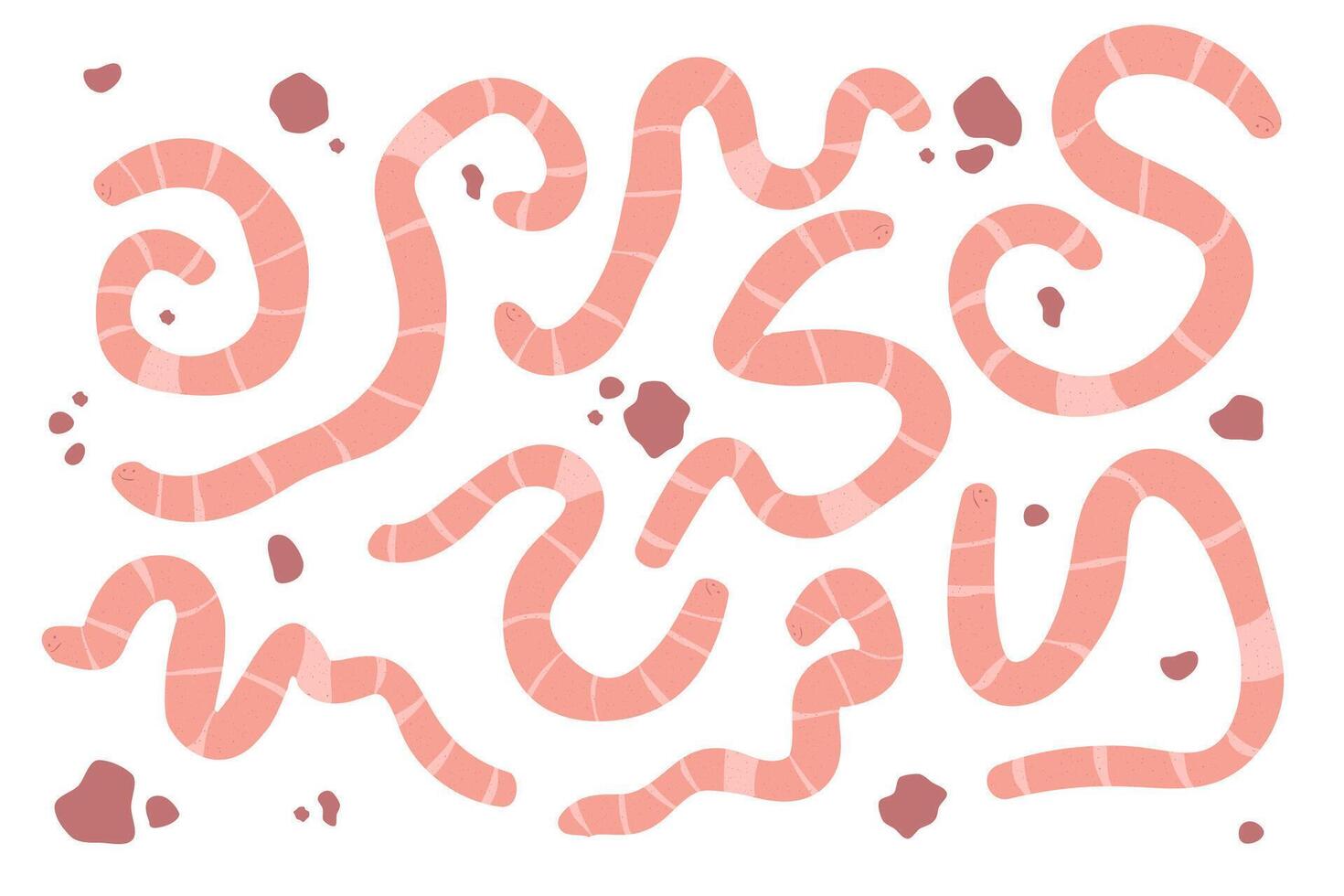 Colorful worm illustrations create Several vibrant worm vector