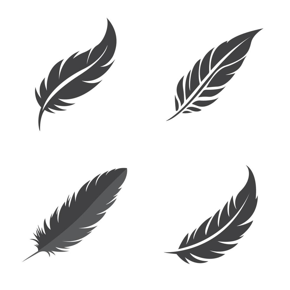 four different types of feathers on a white background with black color vector