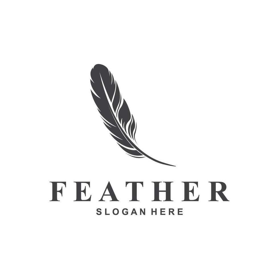 feather logo design template vector