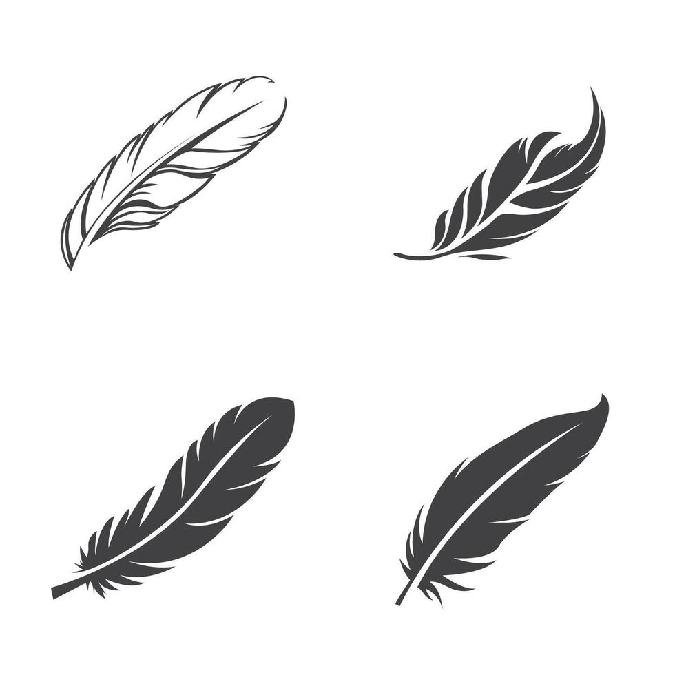 four different types of feathers on a white background vector