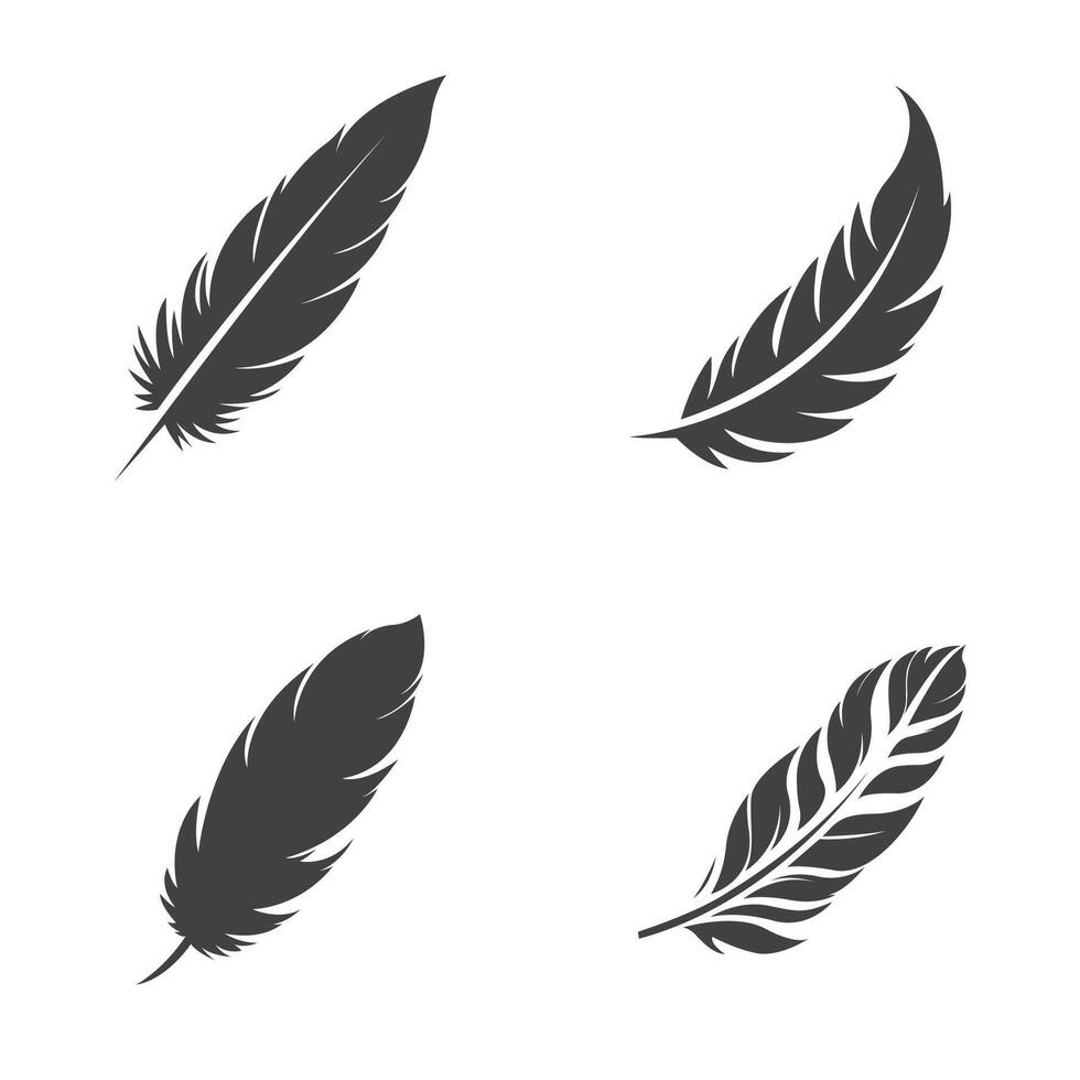 four different types of feathers on a white background group vector