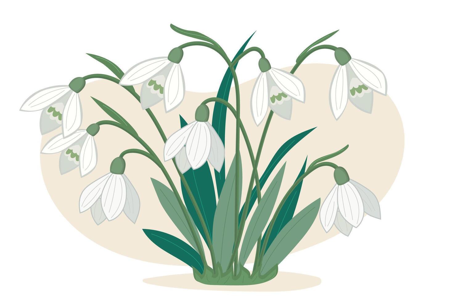 A white flower with green leaves is the main focus of the image vector