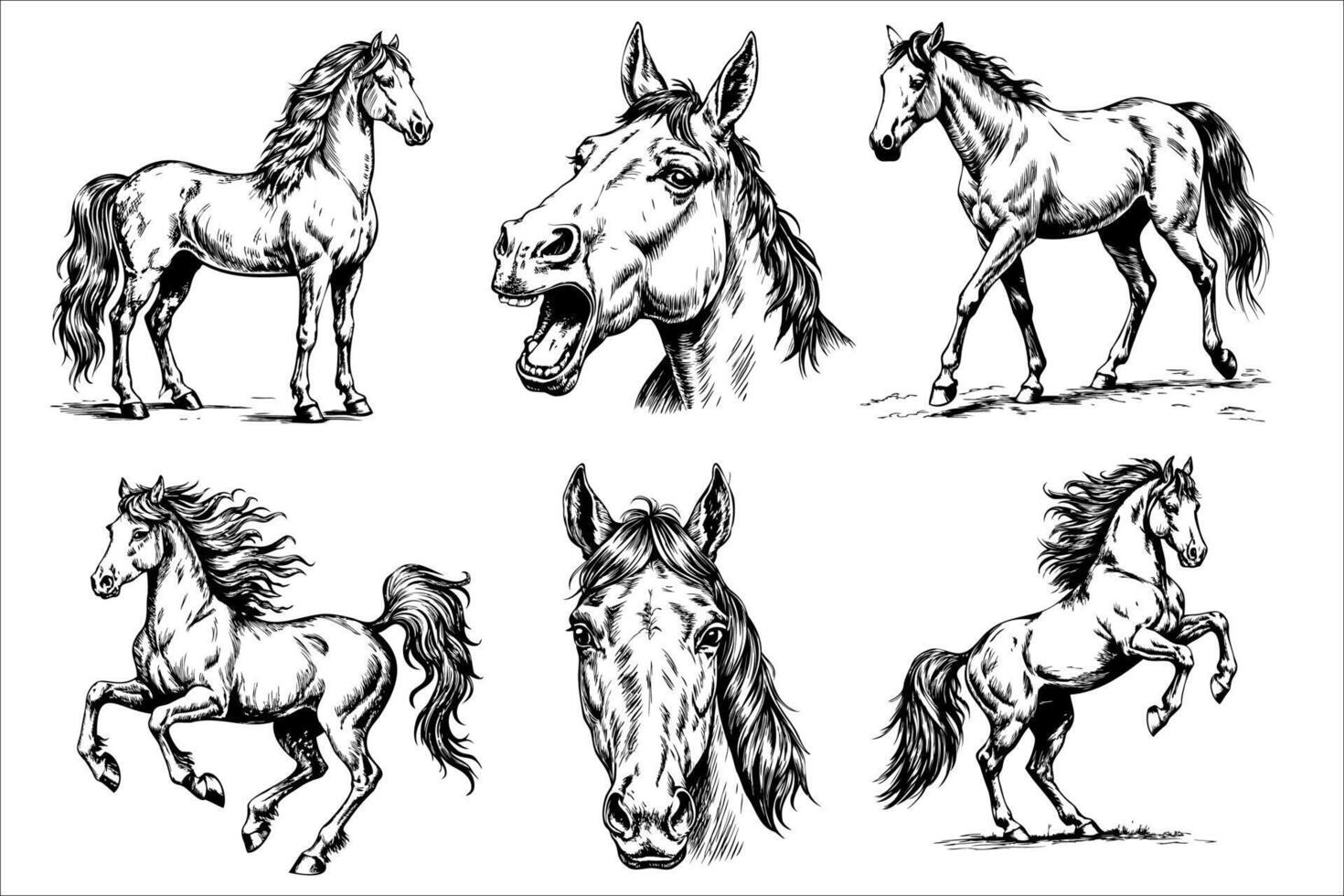 Set of vintage horse sketches with various poses and head angles vector