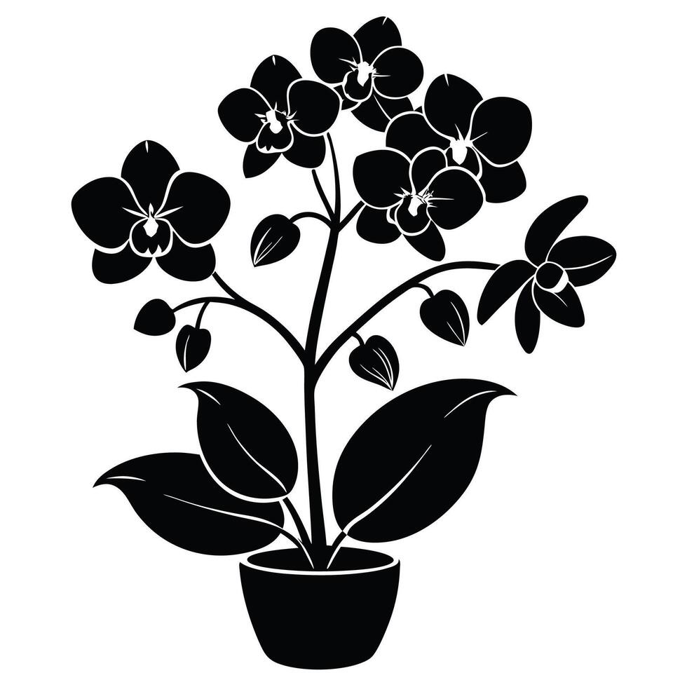 Orchid flower silhouette Black shadow of orchid Black shadow of orchid On white backgroundflower pot with orchids vector