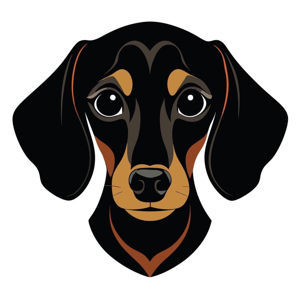 Dachshund dog Front view of head silhouette illustration White Background vector