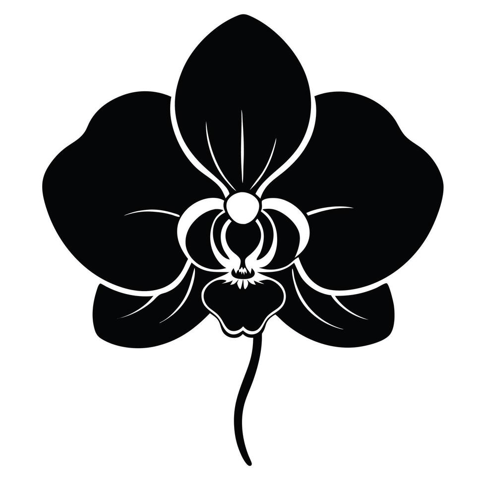 an orchid flower is shown in black and white vector