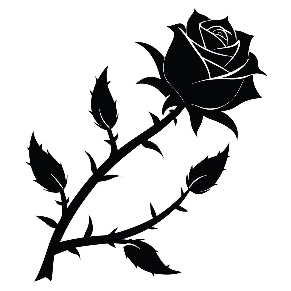 black rose with leaves white background vector