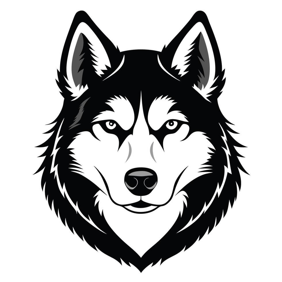 Siberian Husky Dog Front view of head silhouette illustration White Background vector