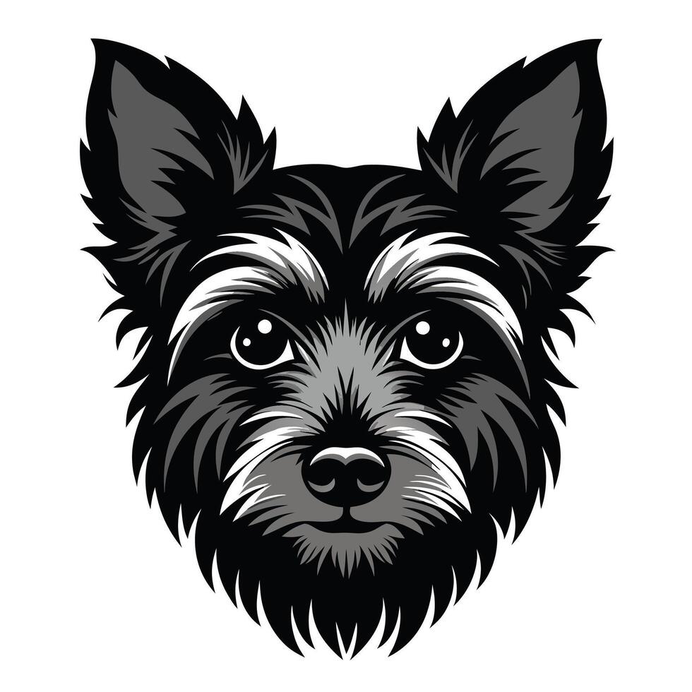 Yorkshire Terrier dog Front view of head silhouette illustration White Background vector