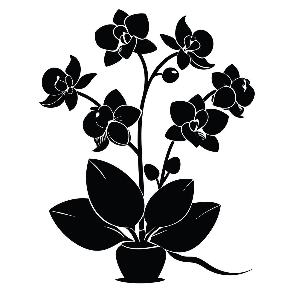black and white illustration of a flower pot with orchids vector