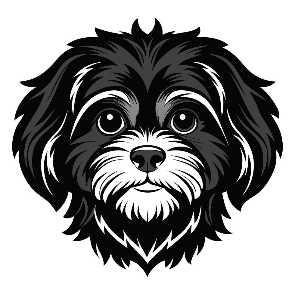 Shih Tzu dog Front view of head silhouette illustration White Background vector