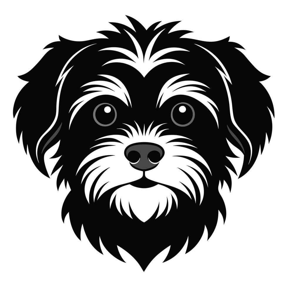 Maltese dog Front view of head silhouette illustration White Background vector