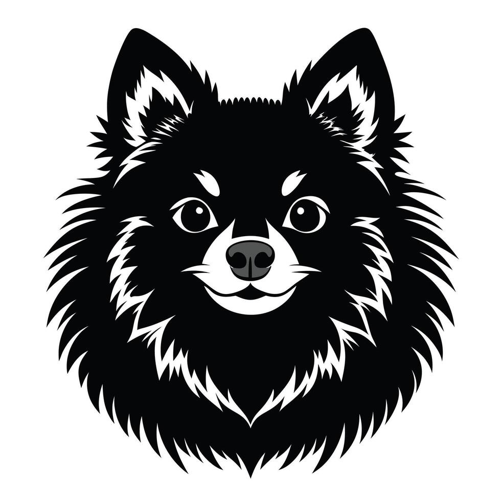 Pomeranian dog Front view of head silhouette illustration White Background vector