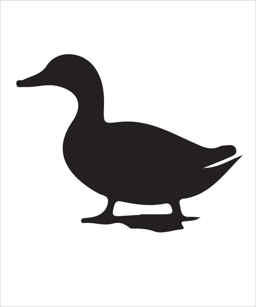 duck isolated on white vector