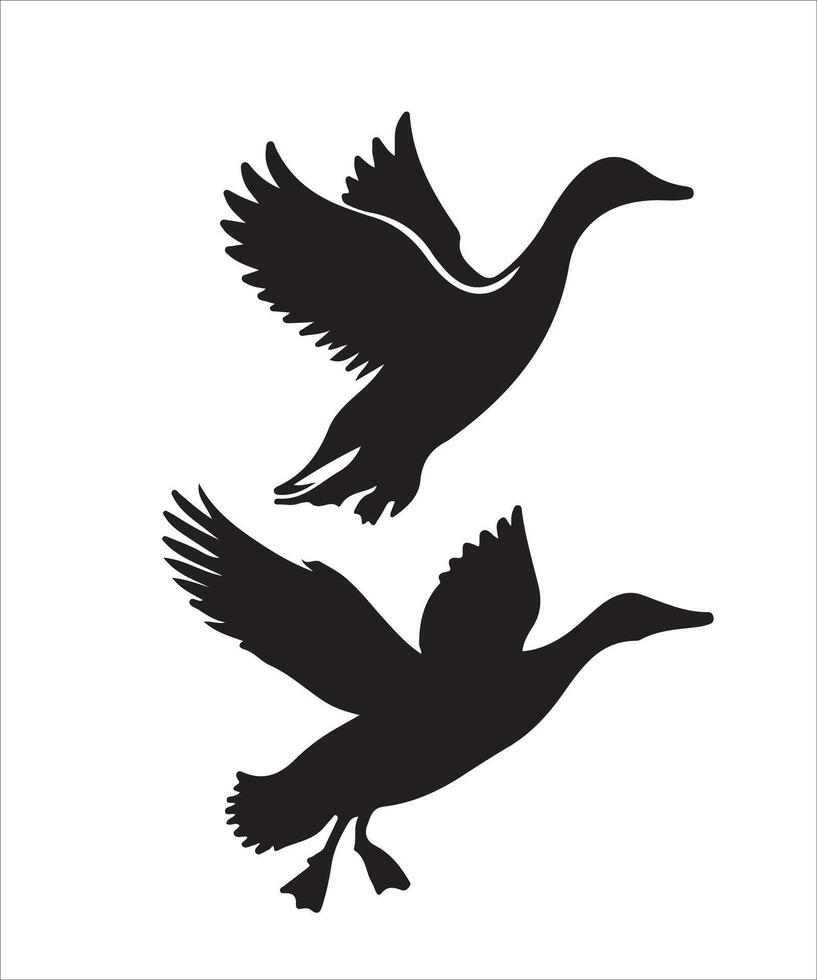 Collection of Duck Silhouettes vector