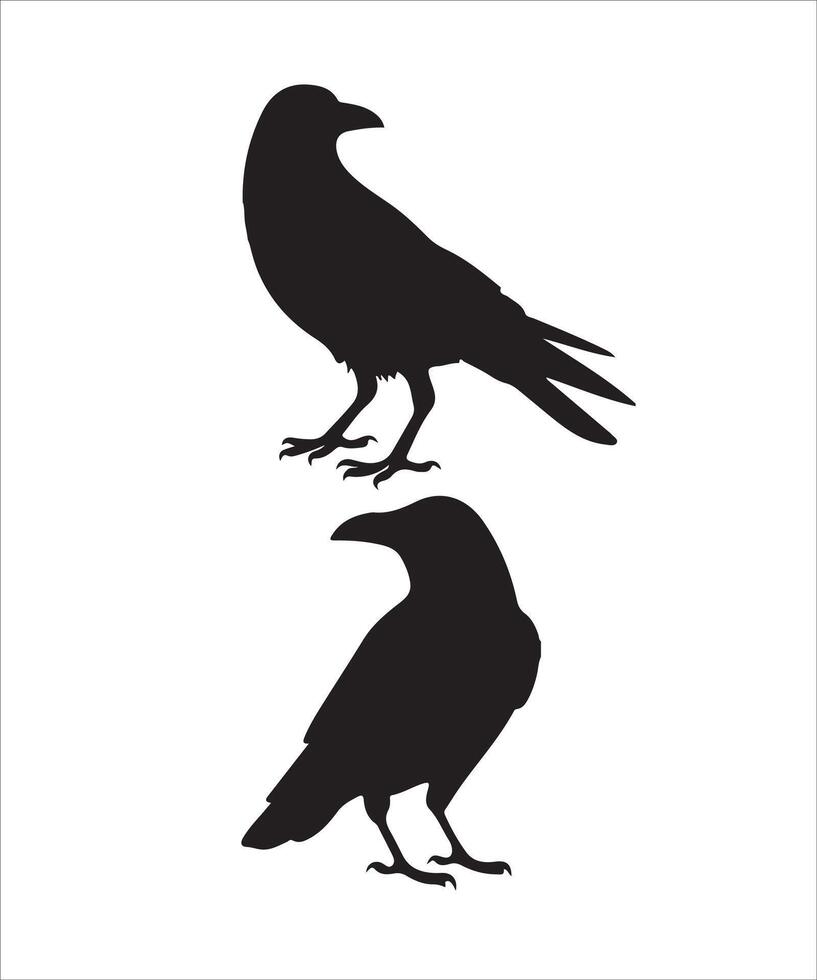 Silhouette Set of Crow, Raven, Bird, and Feather with White Background vector