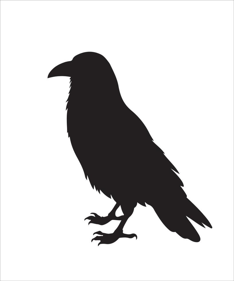Silhouette Set of Crow, Raven, Bird, and Feather vector