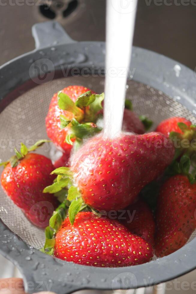 Fresh strawberries being rinsed in a colander under running water photo