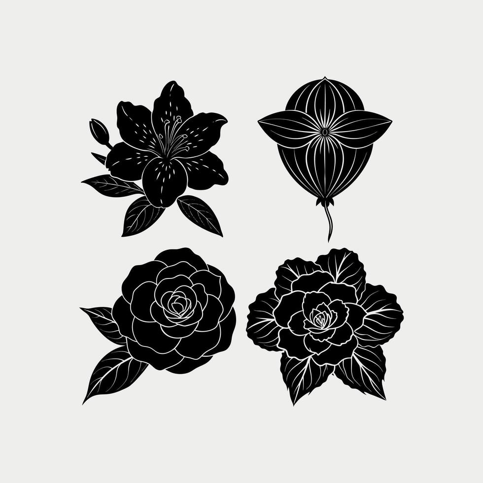Set of flowers Sweet-william,Violet,and Water lily on white background vector