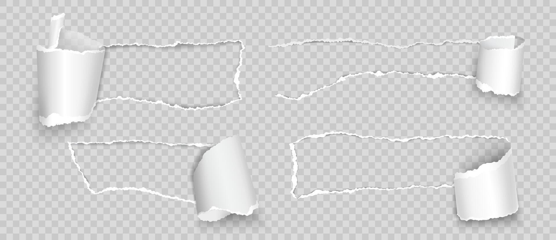 Torn paper with rolled edge. Realistic ripped and folded strips, pieces of notepad with space for text. Paper scraps with curled element. Page with rip and torn holes. set vector