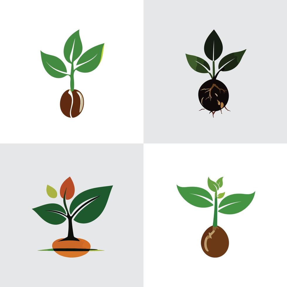 Growth and Development of Plants A Visual Representation vector