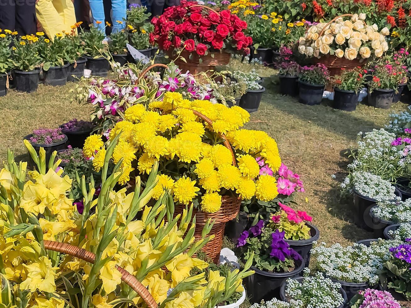 A large display of flowers in baskets on the grass photo