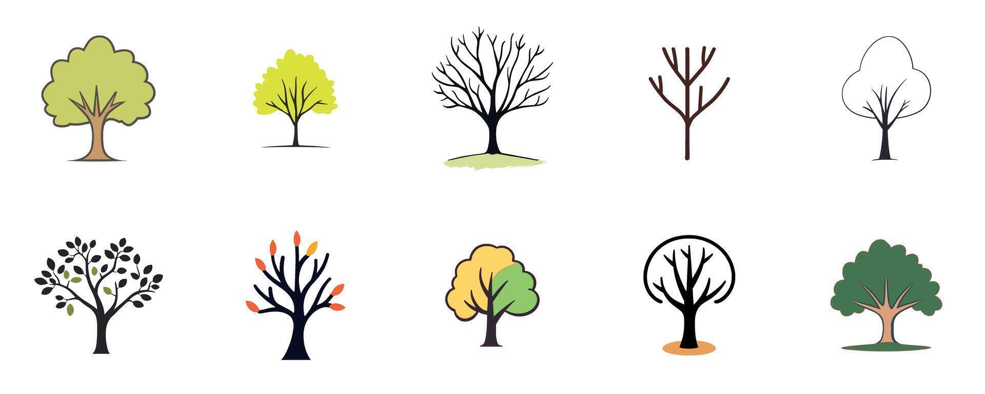 Trees in Various Seasons and Styles vector