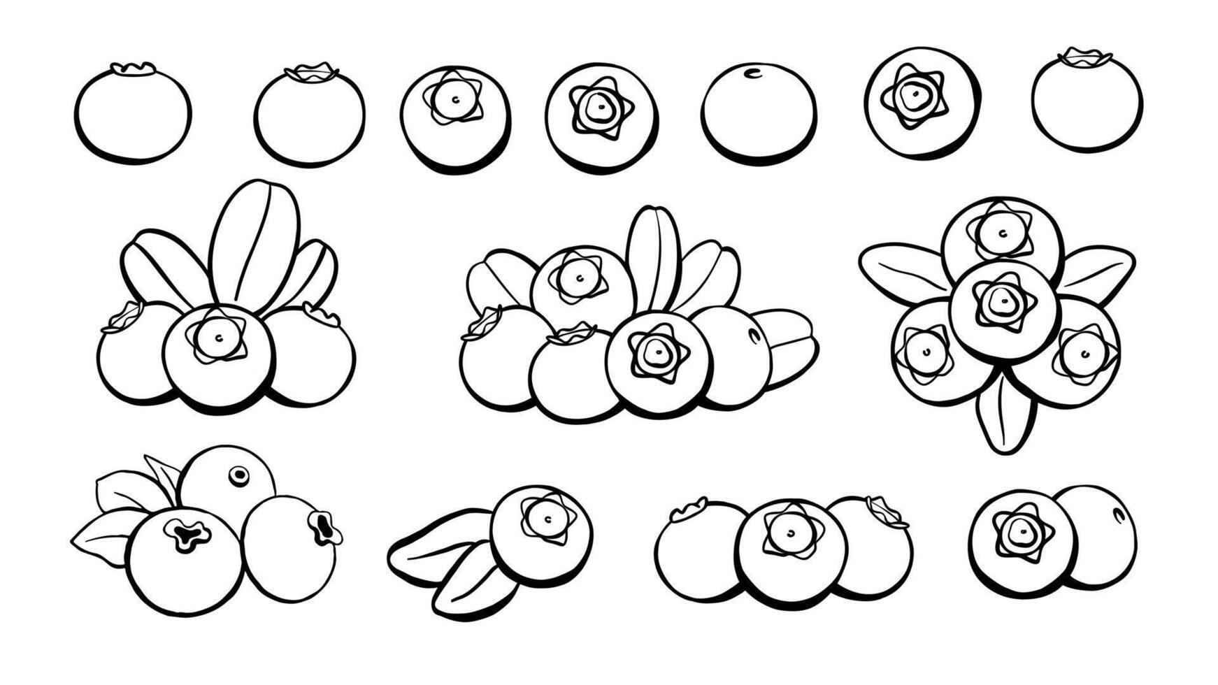 Blueberry Icon Outline Set. Hand Drawn Berry Fruit Illustration vector