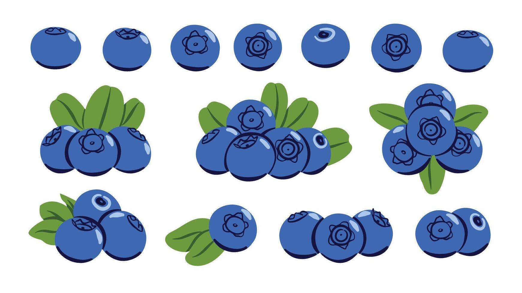 Blueberry Icon Set. Berry Fruit Colored Illustration vector
