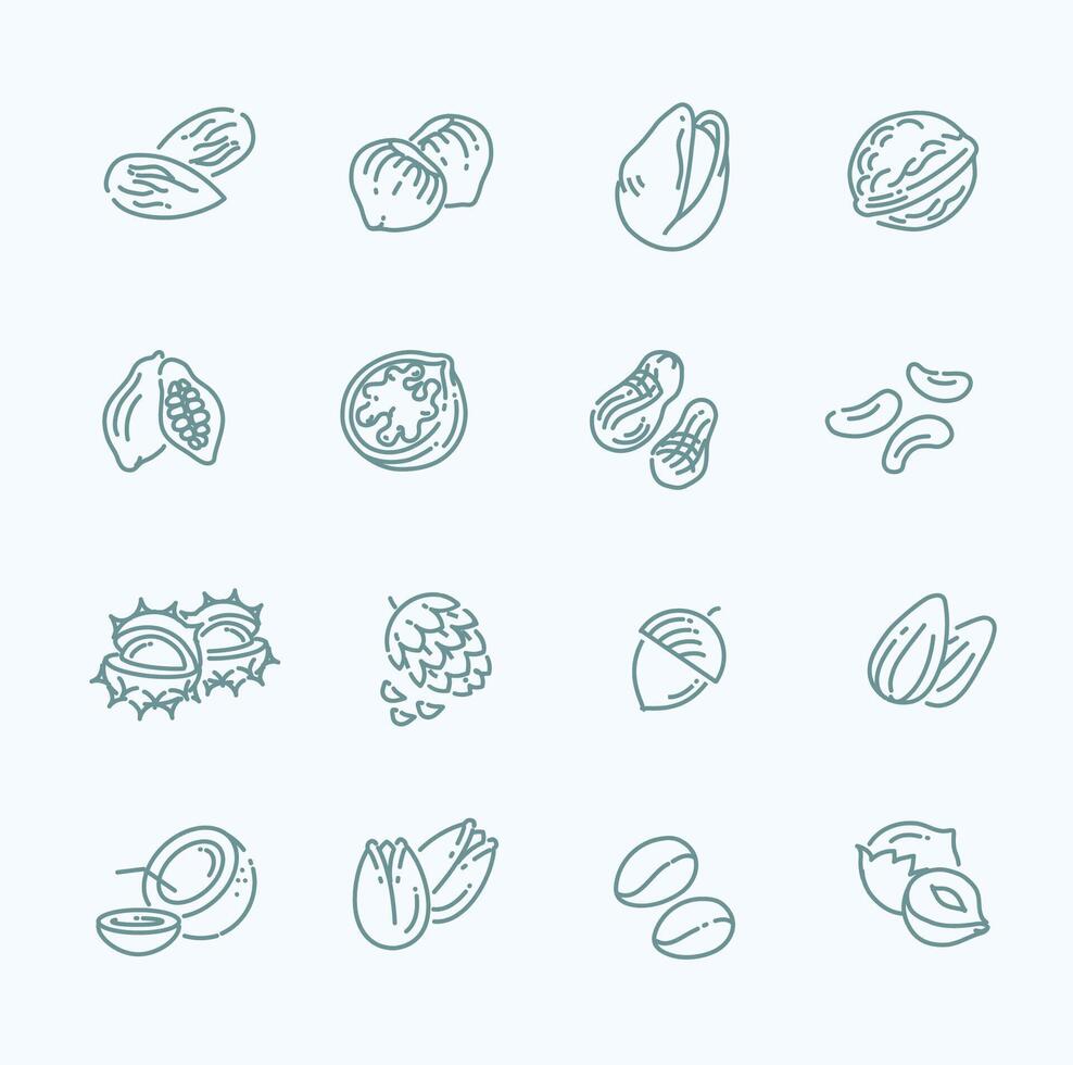 Nuts, beans and seed icons vector
