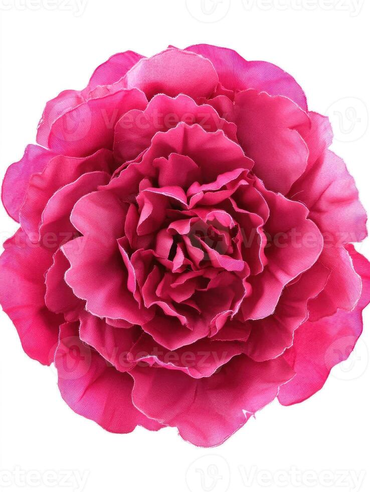 Top view of a peony in full bloom highlighting minimalist design for floral decoration photo