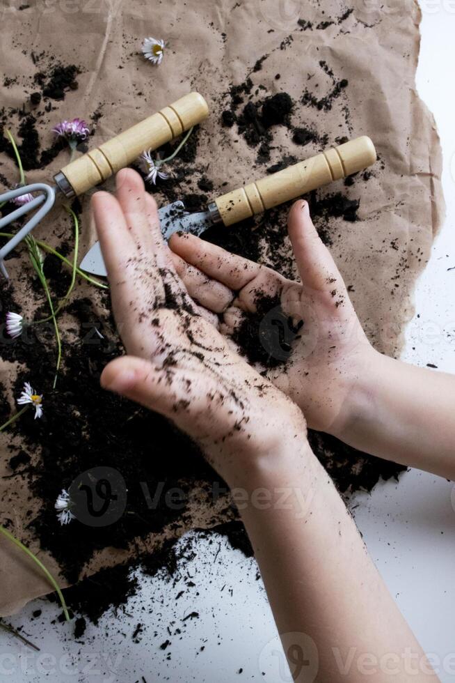 Caucasian child engaging in gardening with tools and soil indoors photo