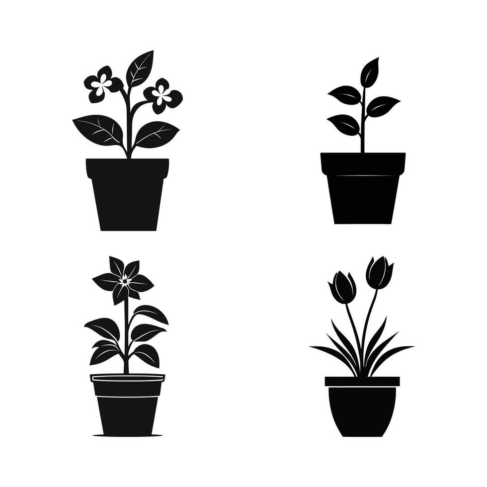 Four different types of plants in pots on a white background vector