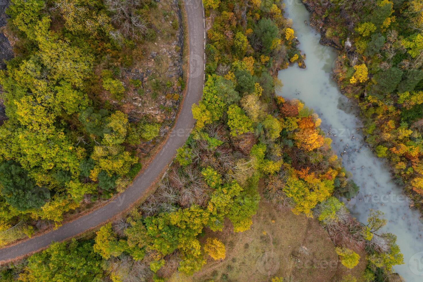 An aerial view of a winding road surrounded by trees photo