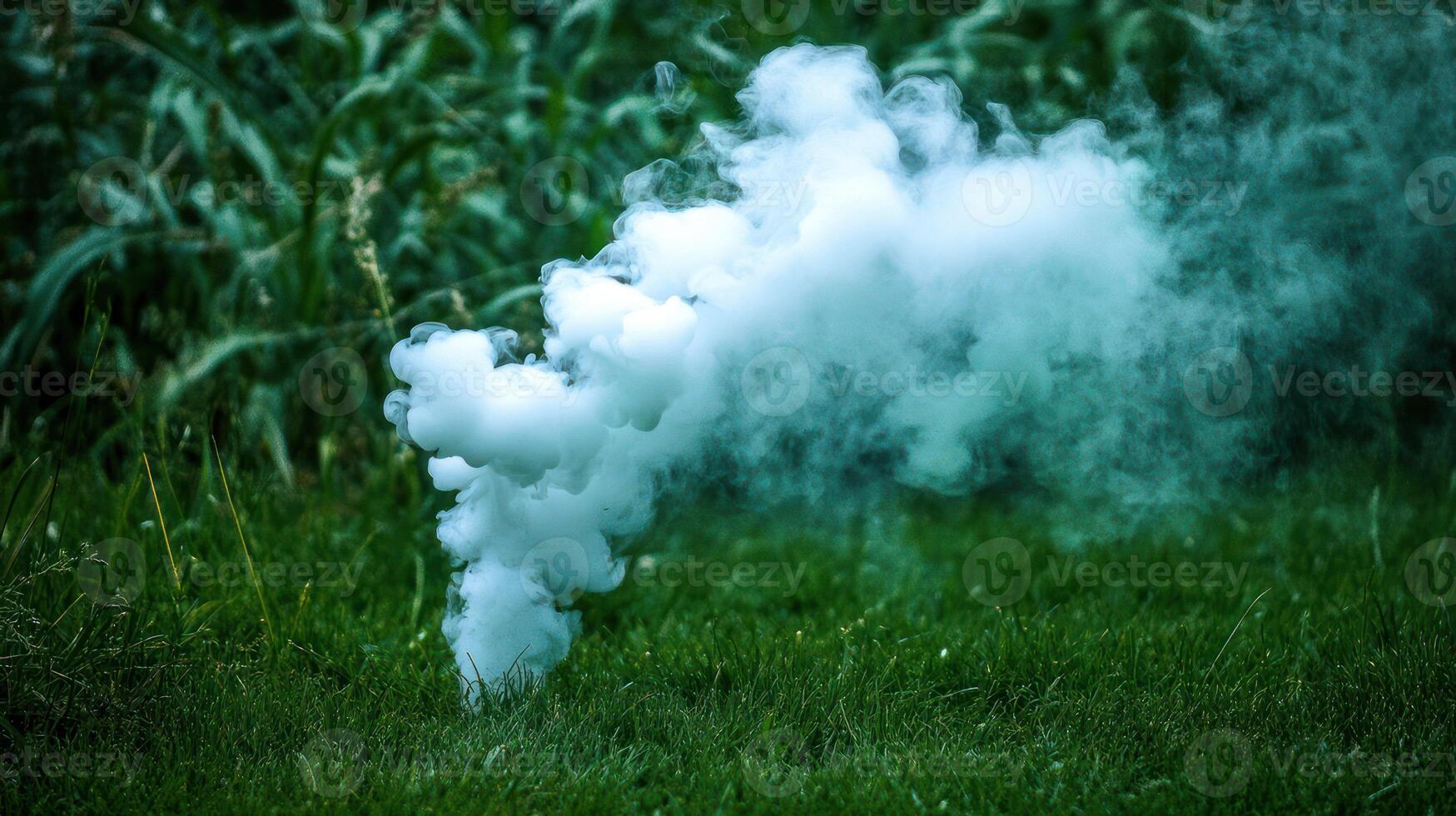 A mysterious green smoke billowing softly over lush grass. photo