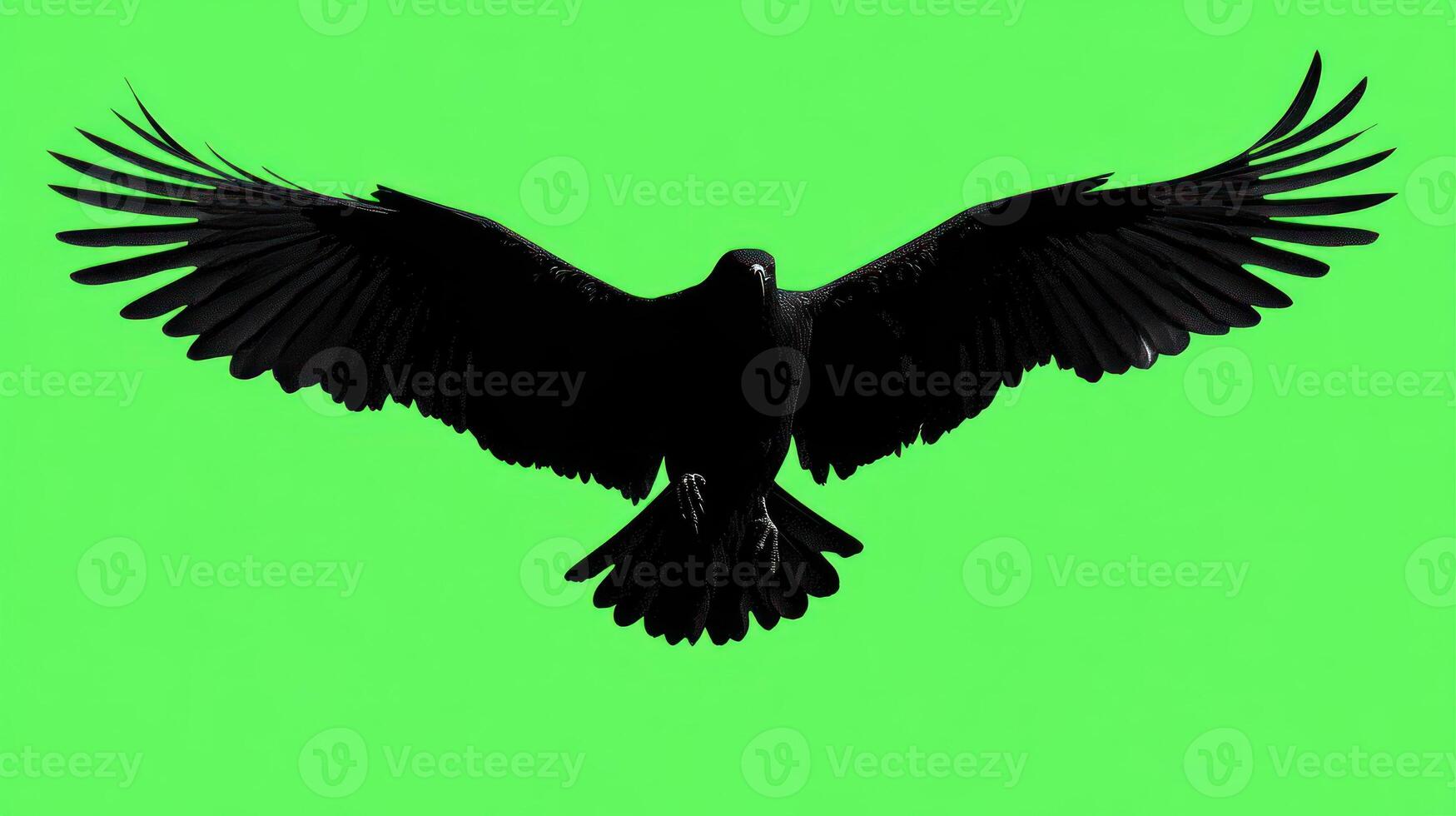 A silhouetted raven in flight against a vibrant green background. photo