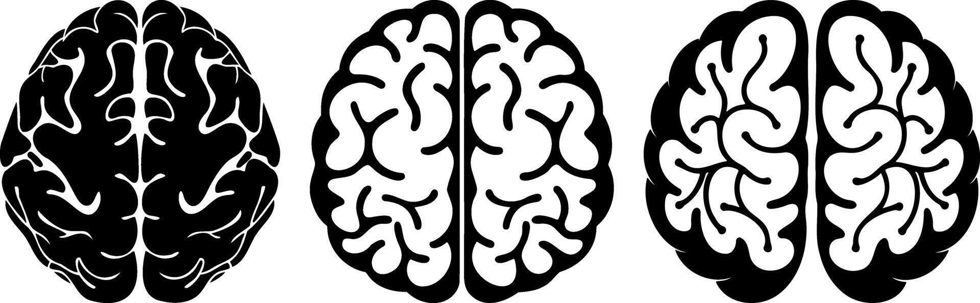 Stylized brain illustrations in black and white, showcasing intricate designs vector