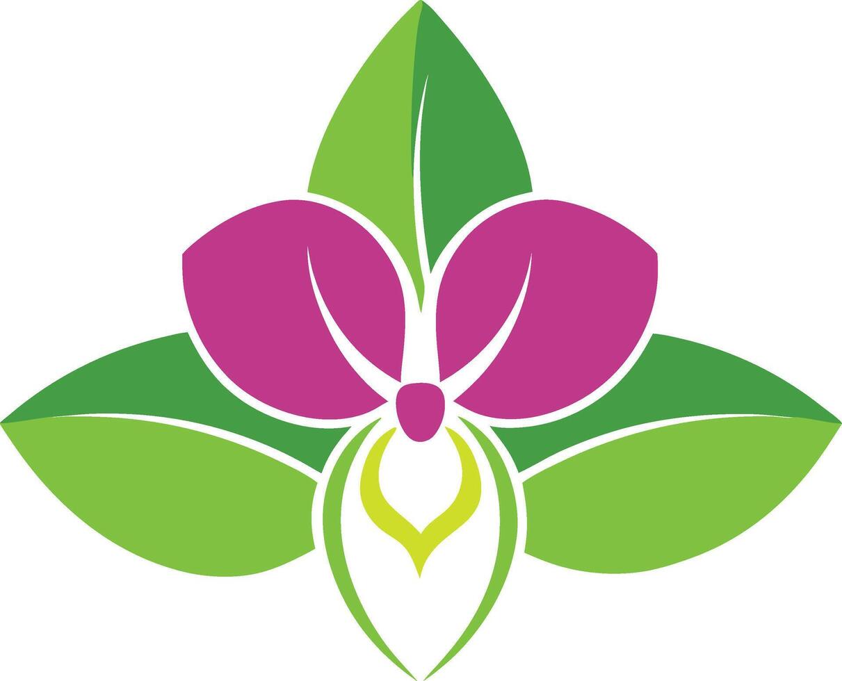 Orchid flower, showcasing intricate petals and lush green leaves vector