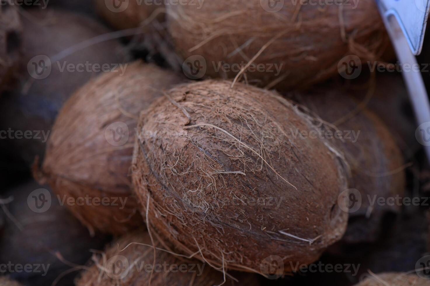 Unique brown coconuts displayed in a vibrant market on a sunny afternoon in tropical paradise photo