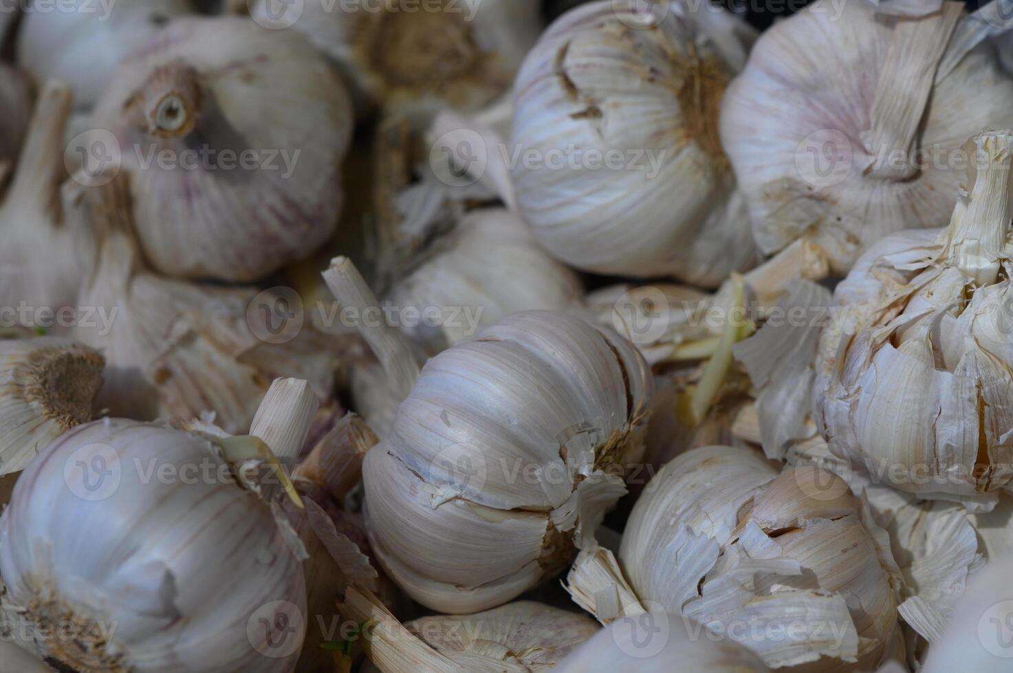 Fresh garlic bulbs piled together showcasing their unique textures and shapes in a rustic kitchen setting photo
