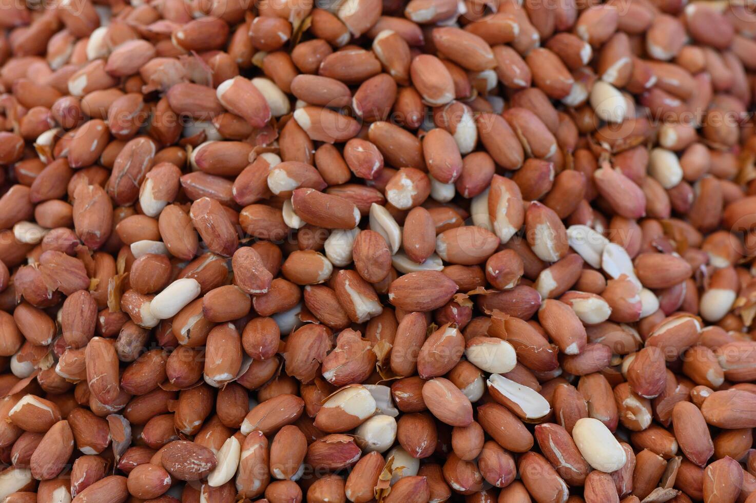 Peanuts scattered in abundance, showcasing their rich texture and earthy hues in natural light photo