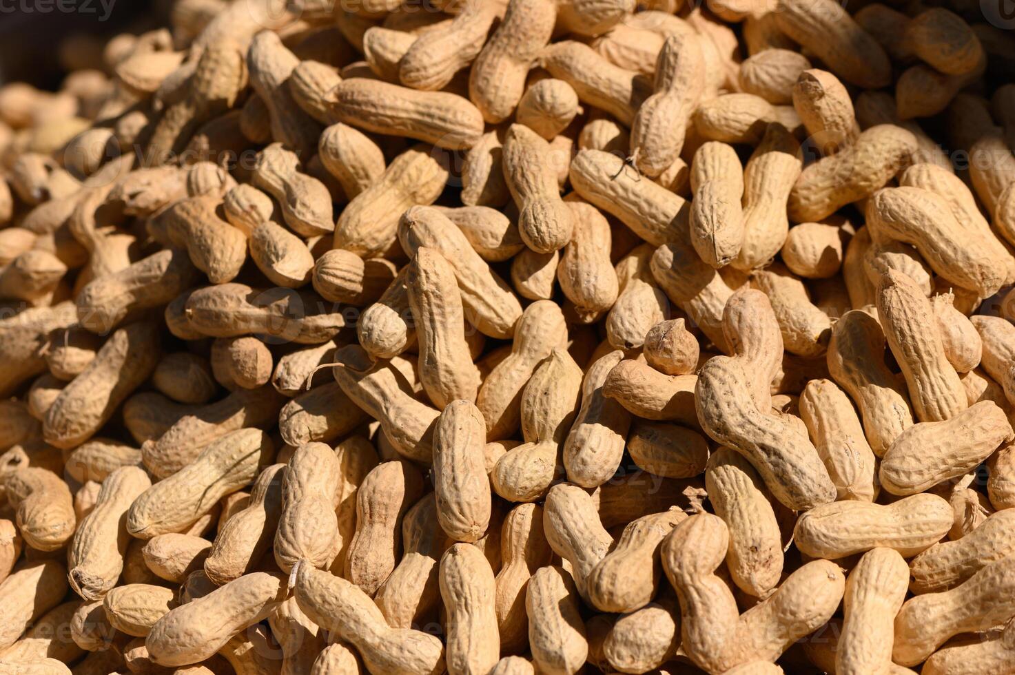 Peanuts gathered under the sun, showcasing nature's produce in a bountiful harvest at the local market photo