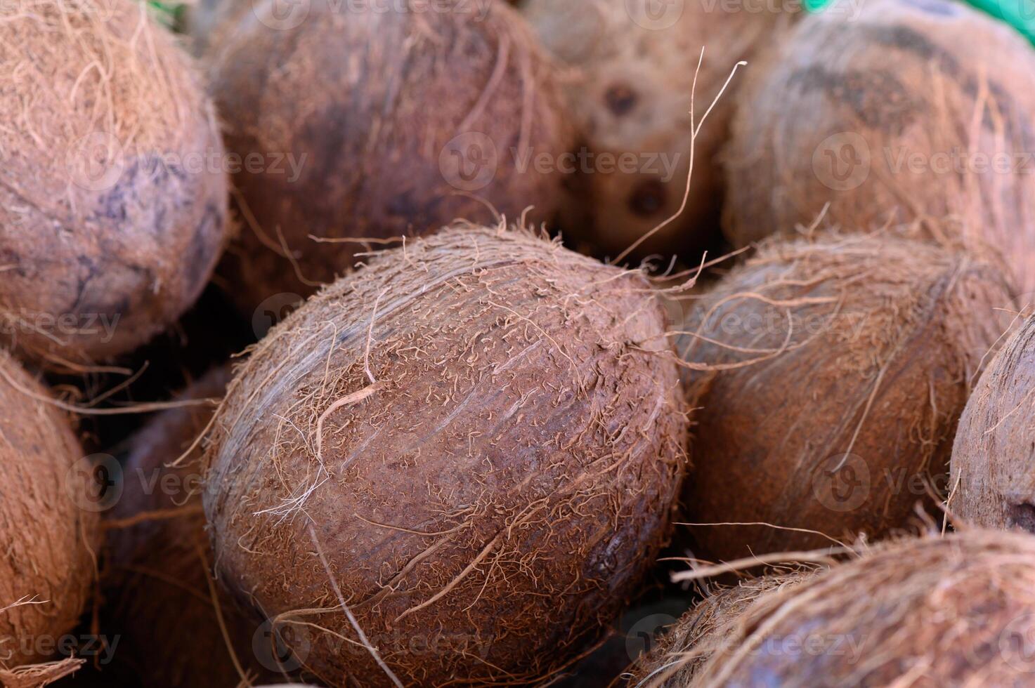 Discovering the rustic charm of fresh coconuts at a vibrant market stall on a sunny afternoon photo
