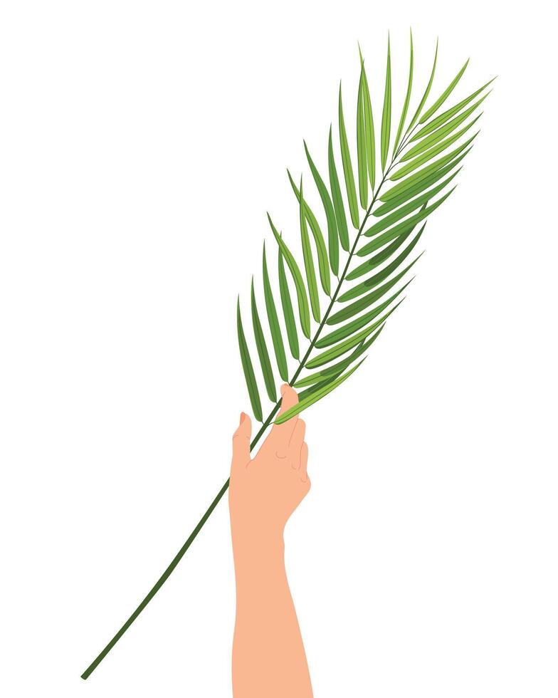 Palm Sunday celebration. Hand raised with palm branche on white background. Concept of unity of Christian faith. postcard. Cartoon. vector