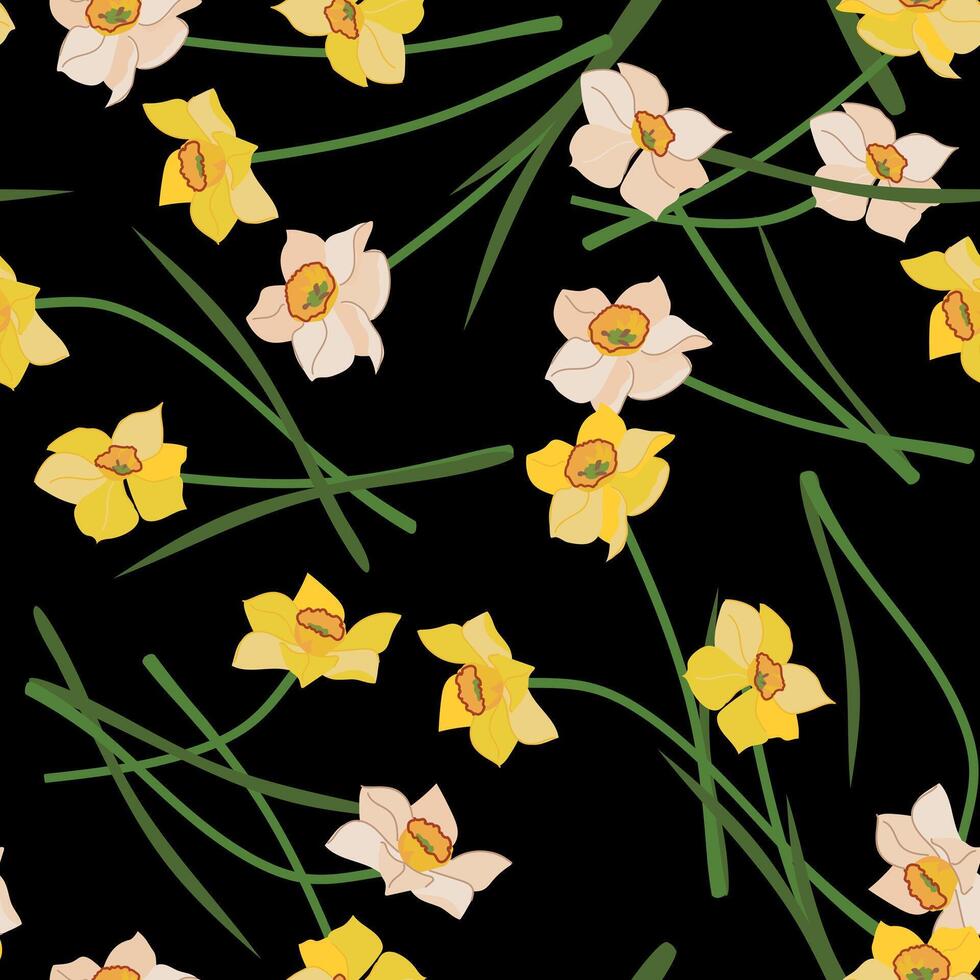 Seamless pattern with daffodils on black background. yellow and white spring flowers, Mother's Day gift. Colorful flat illustration for wedding decoration. Illustration of narcissus. vector